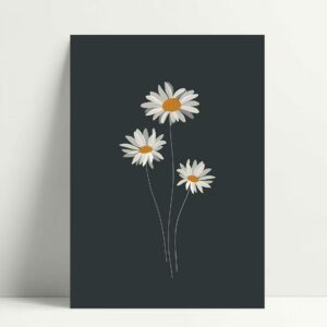 Carte Anthemis