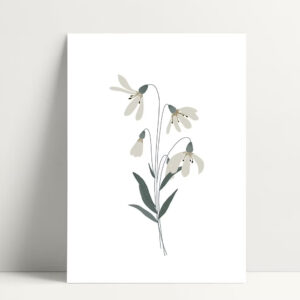 Carte Perce Neige