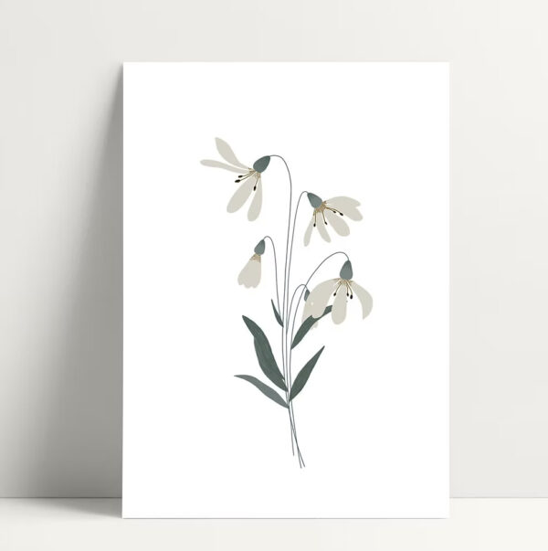 Carte Perce Neige