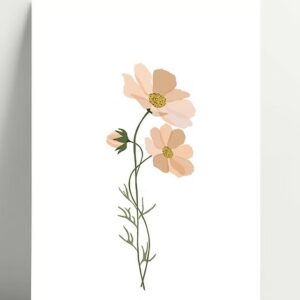 Carte Anthémis rose